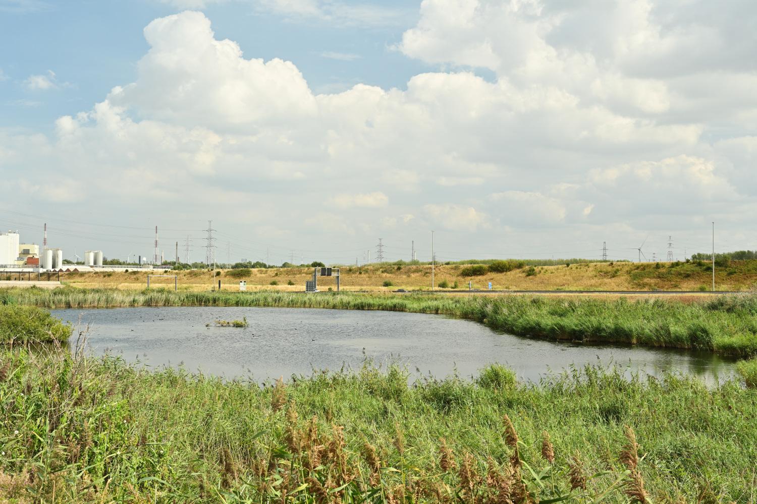 Steenlandpolder Yves Adams