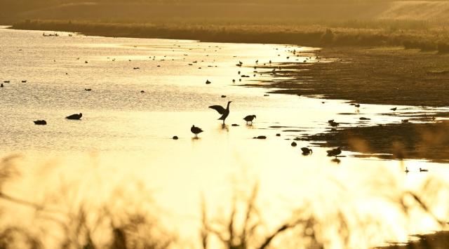 Doelpolder Noord Yves Adams