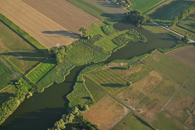 Grote Geule Yves Adams