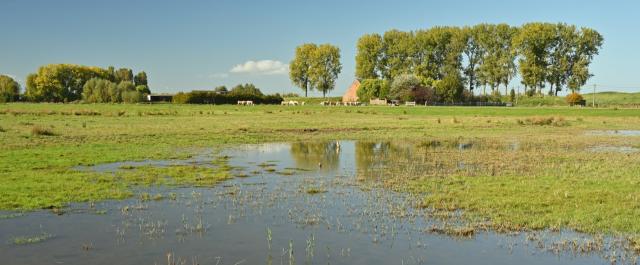 Ecologisch waardevolle polder Yves Adams