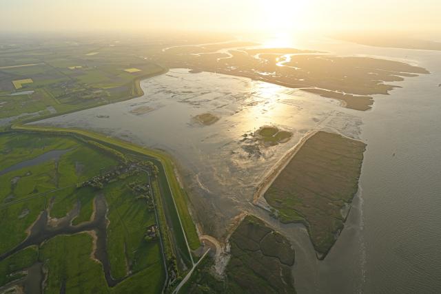 Hedwige Prosperpolder VILDA